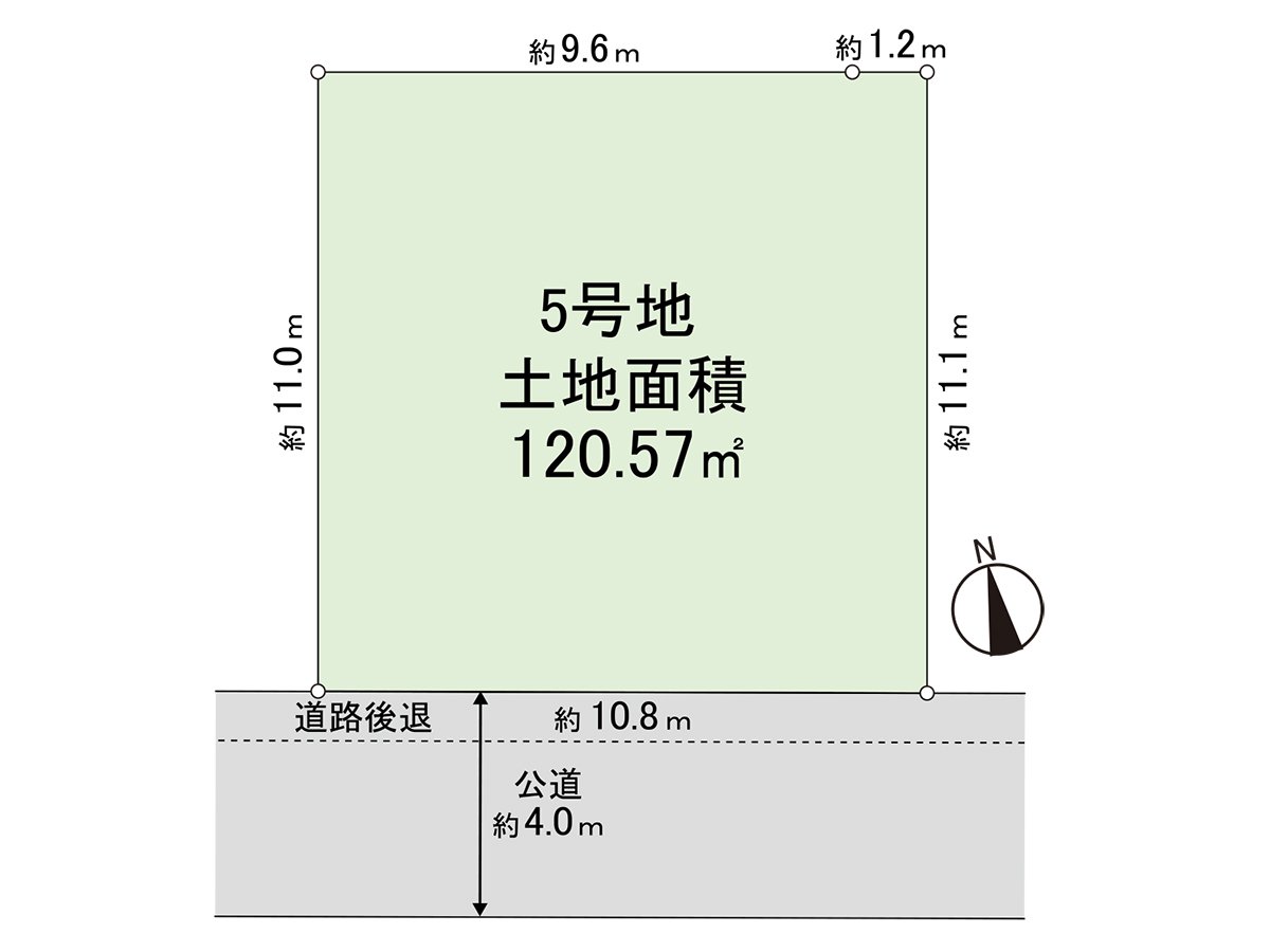 Division figure