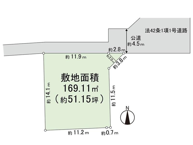 Division figure