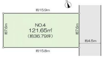 Division figure