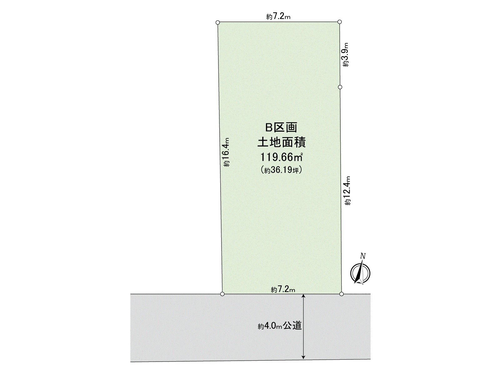 Division figure