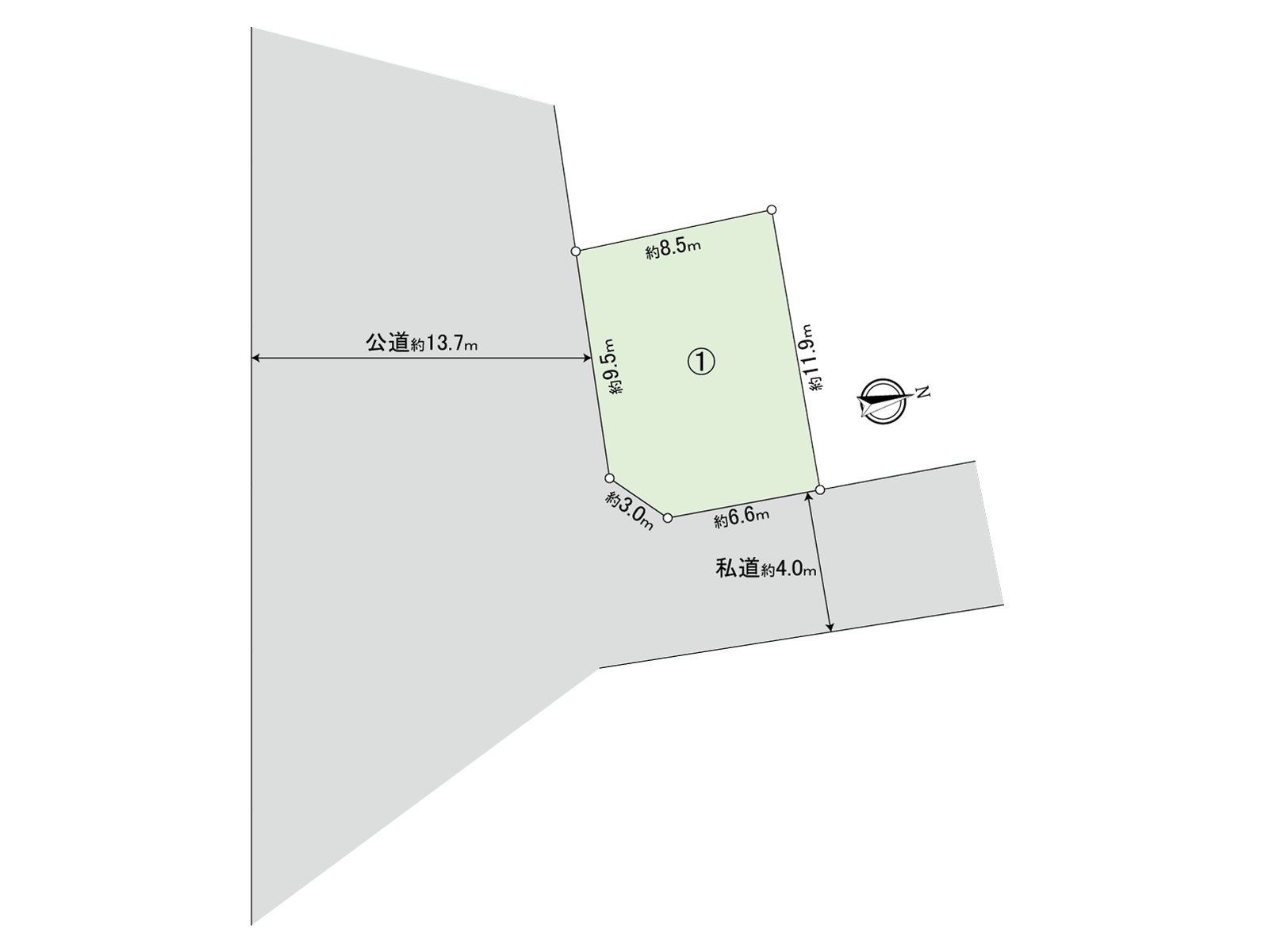 Division figure