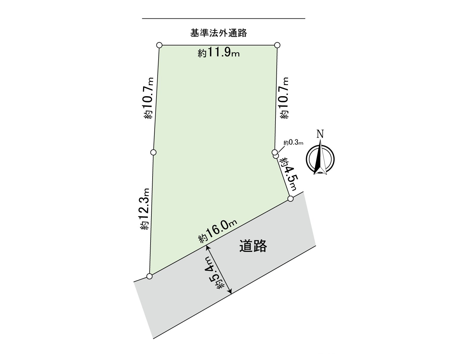 Division figure