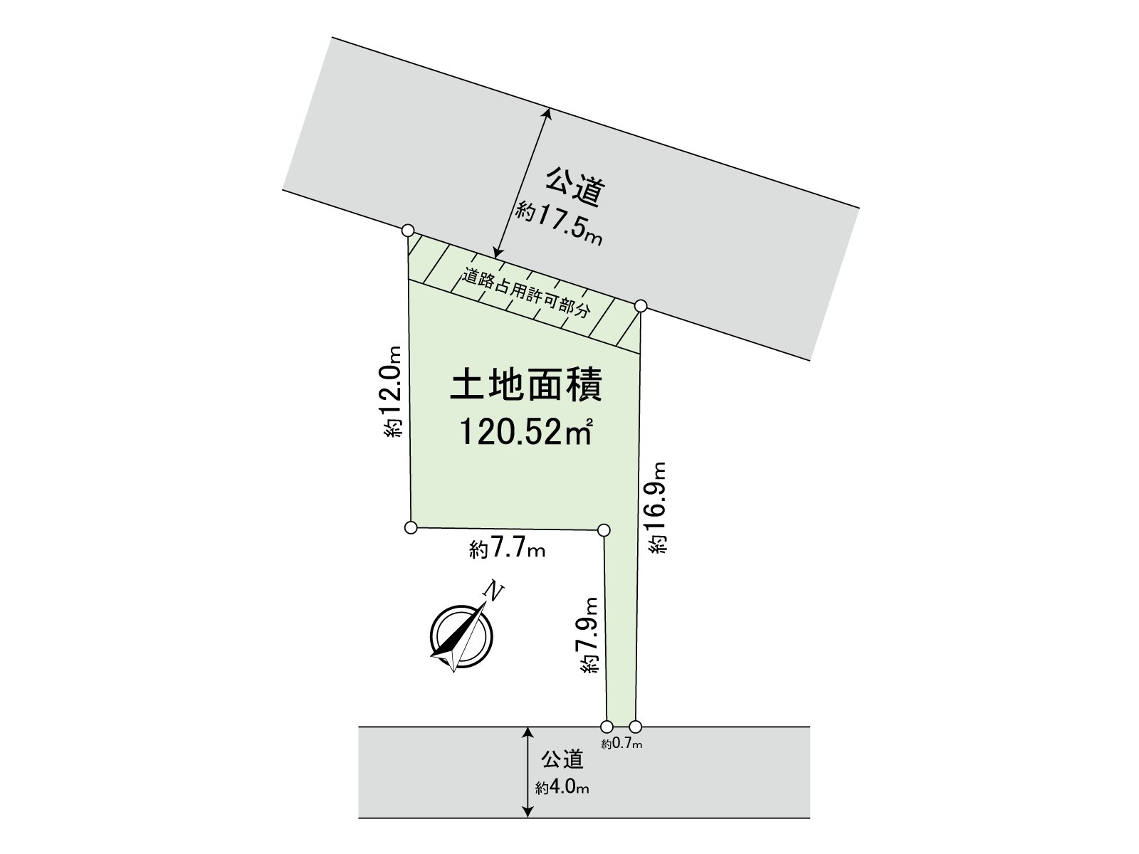 Division figure