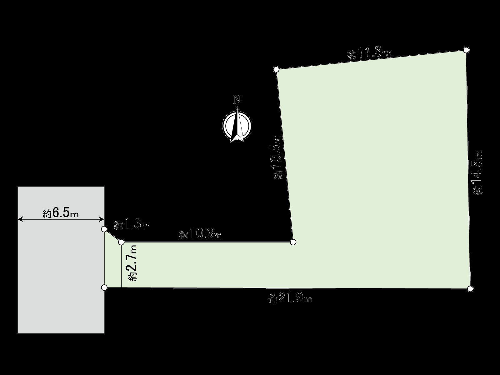 Division figure