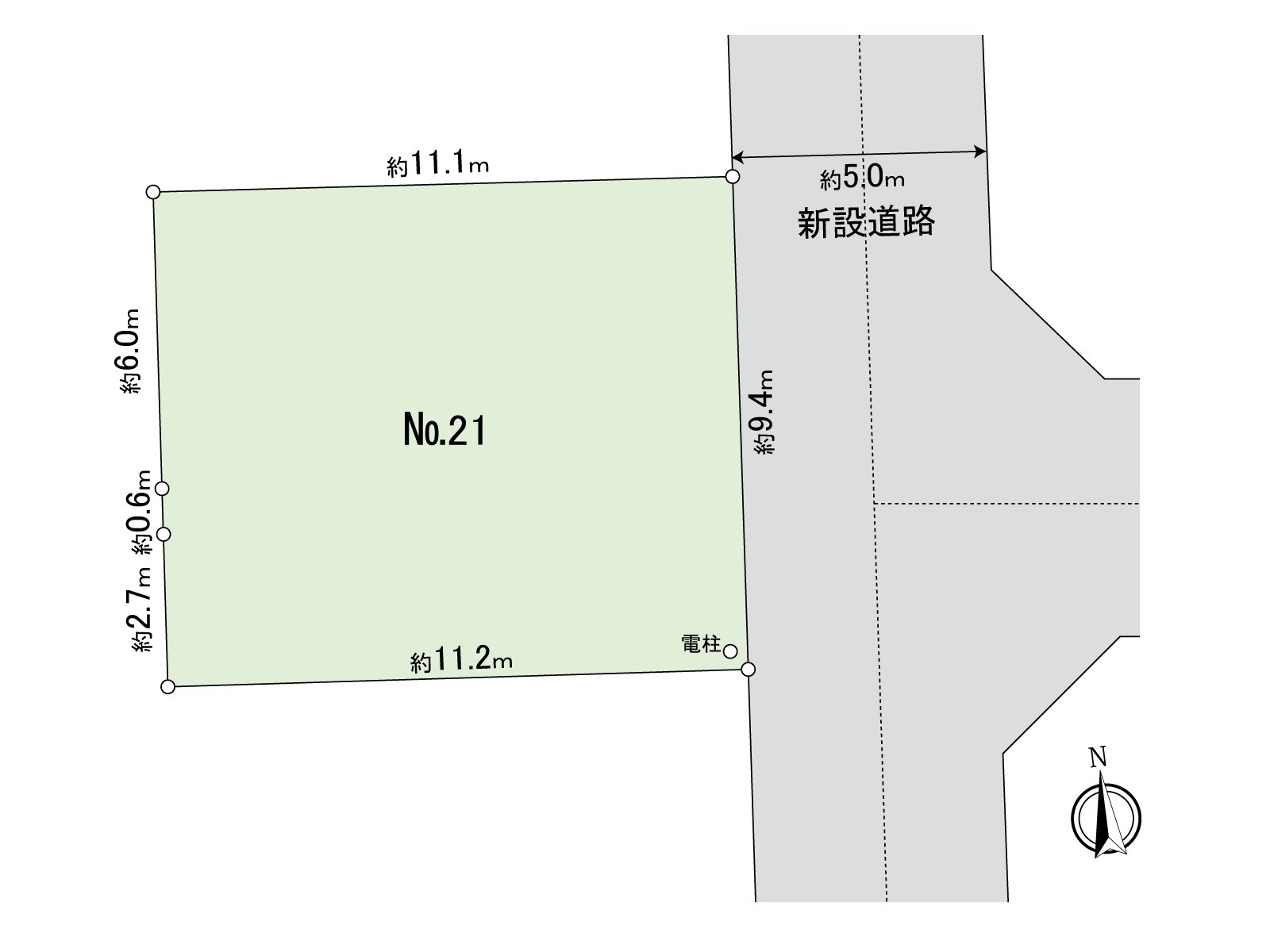 Division figure