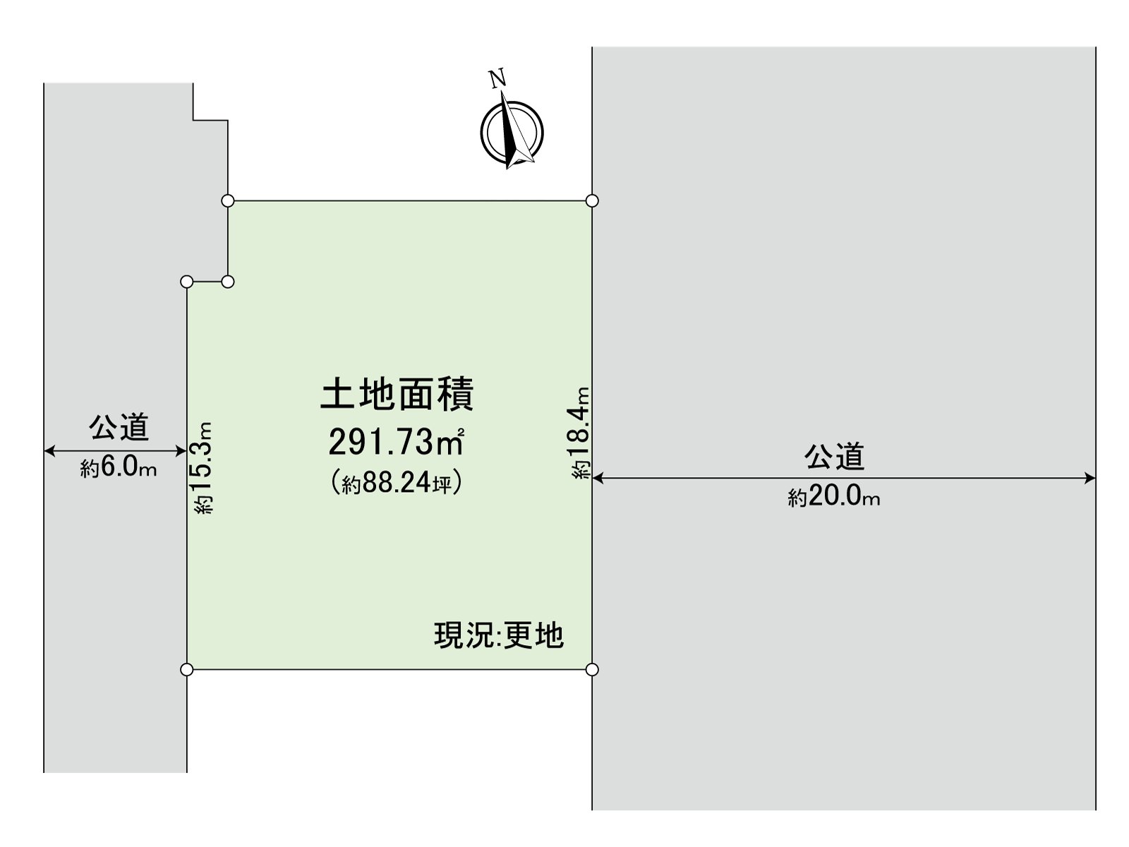 Division figure