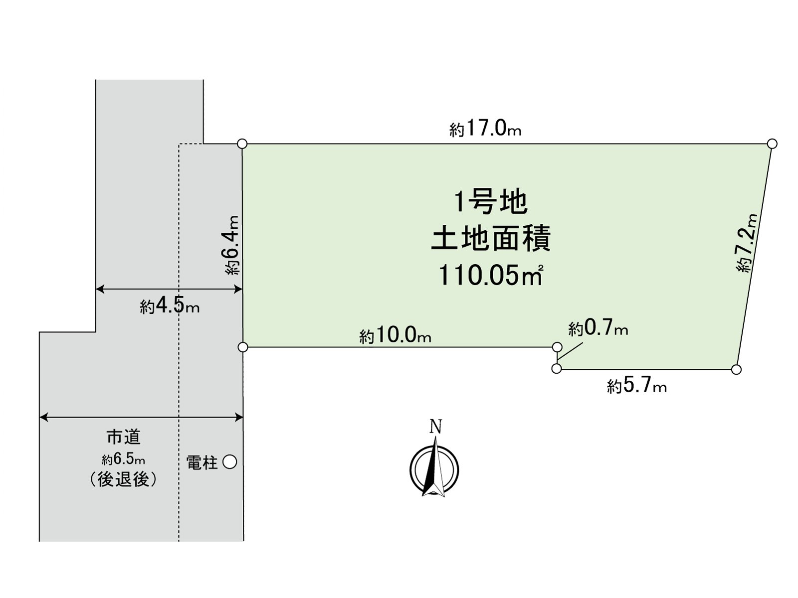 Division figure