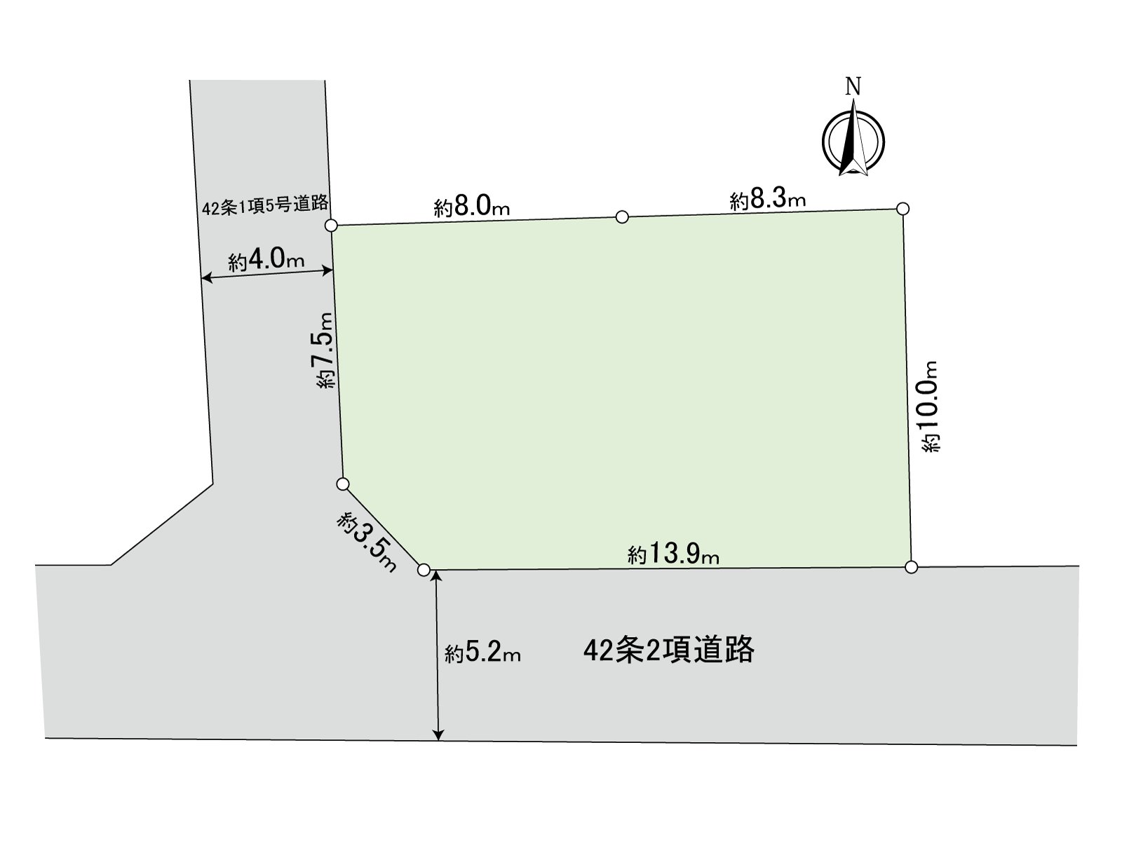 Division figure