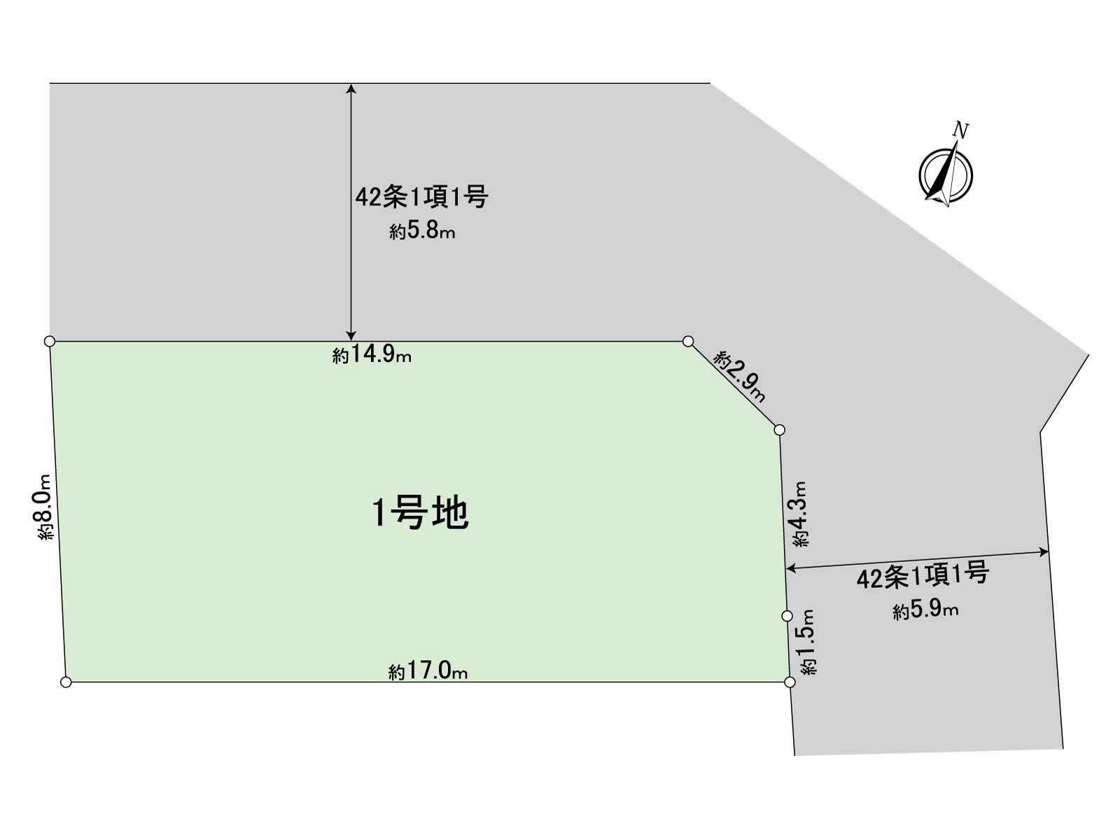 Division figure