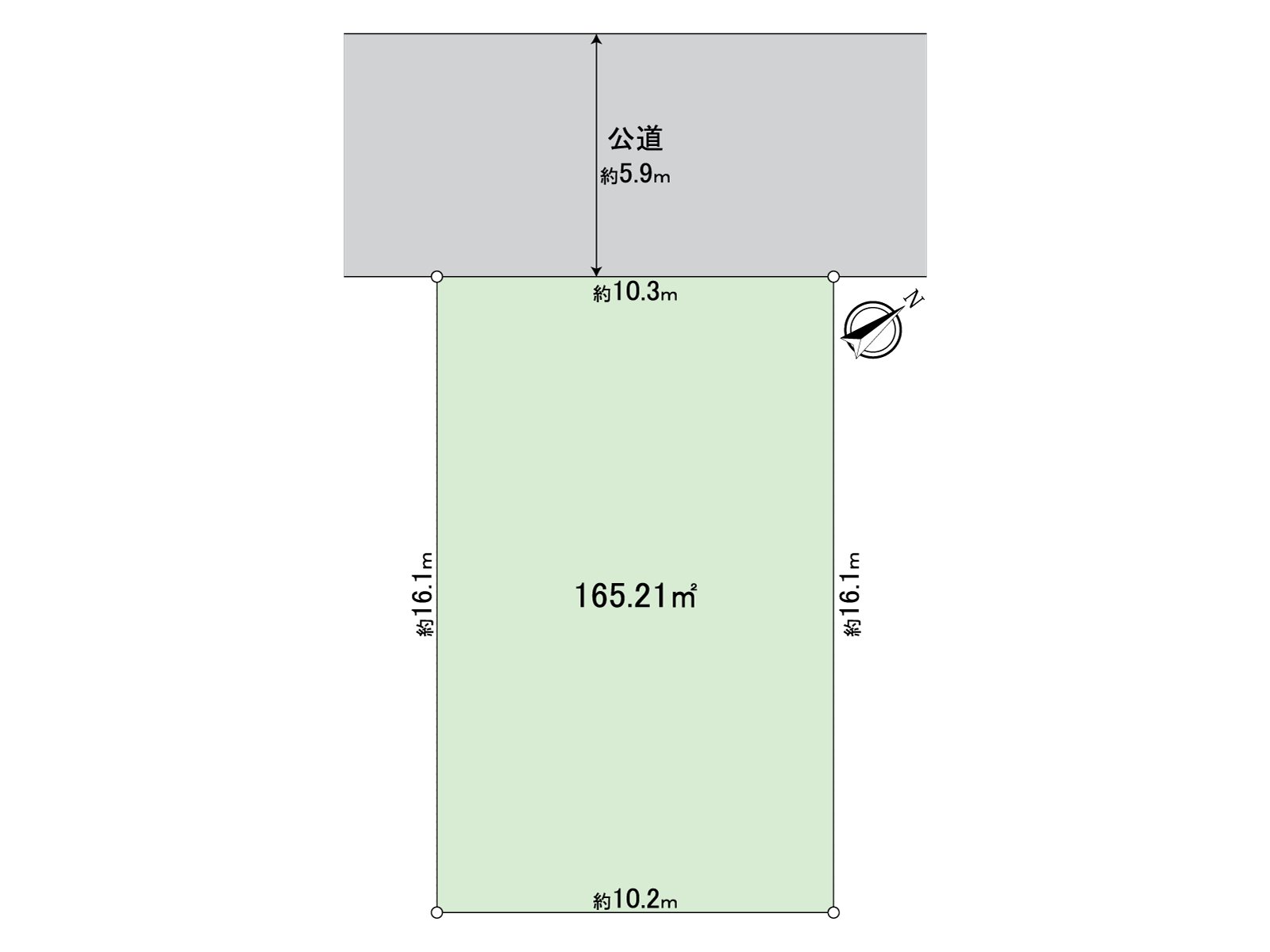Division figure