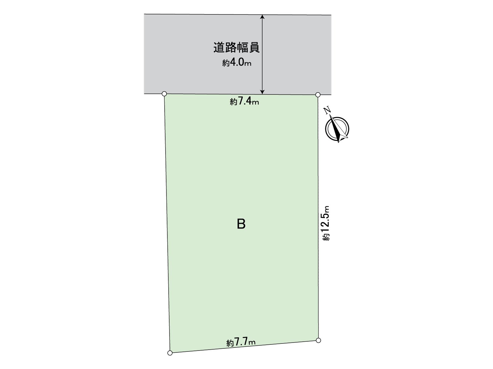 Division figure