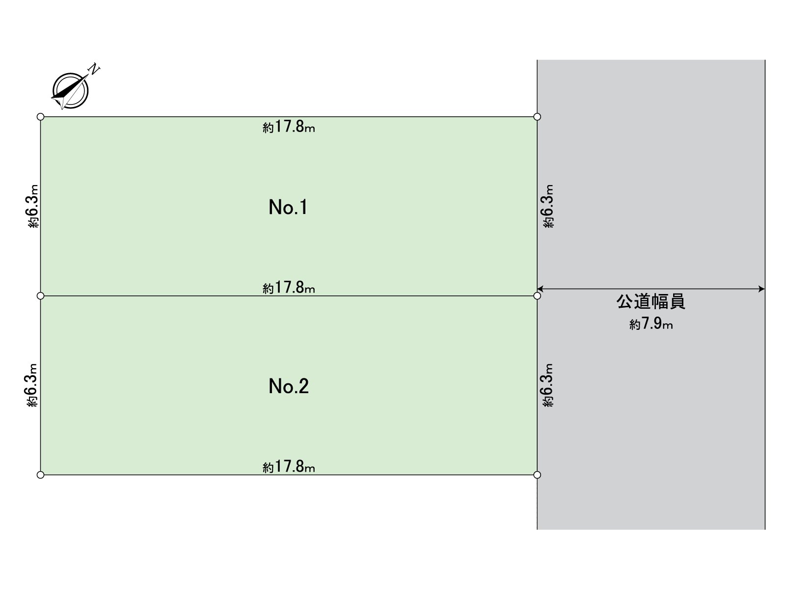 Division figure (NO.2)