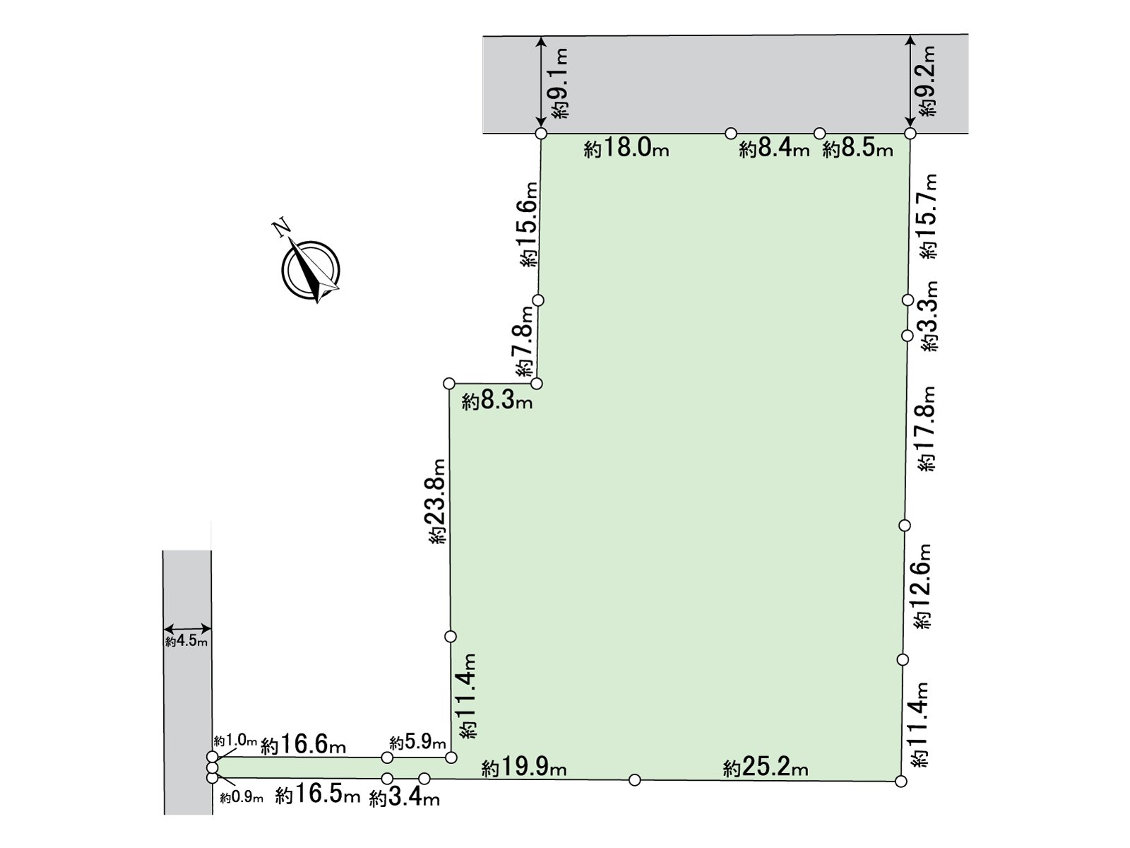 Division figure