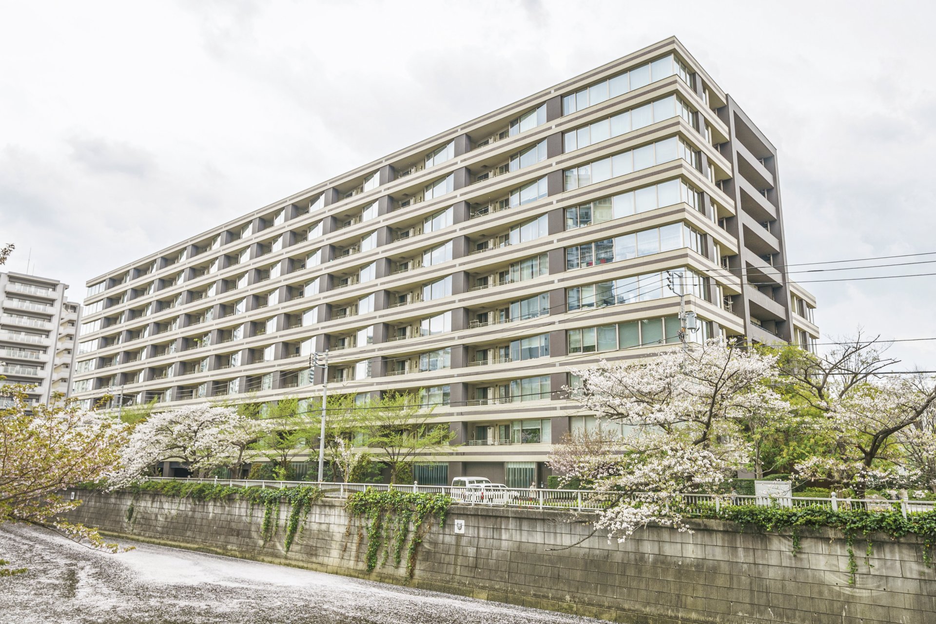 面向成排的目黑河边的樱树的住宅