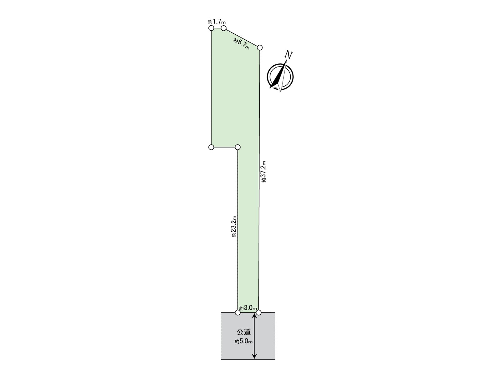 Division figure