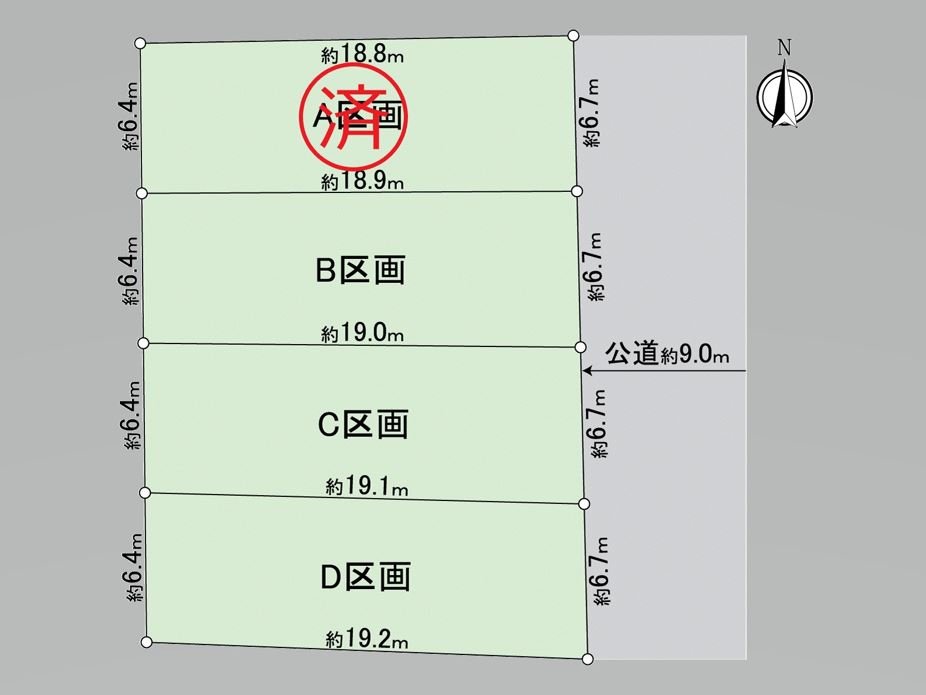 Division figure