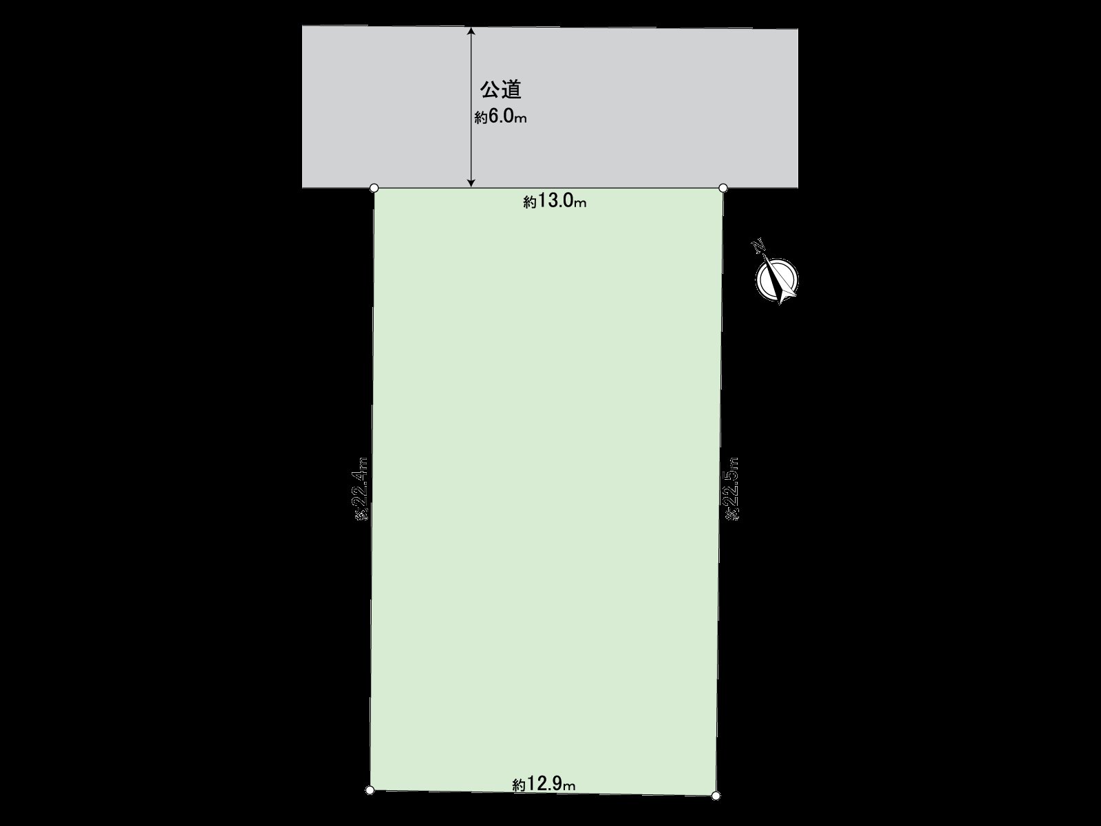 Division figure