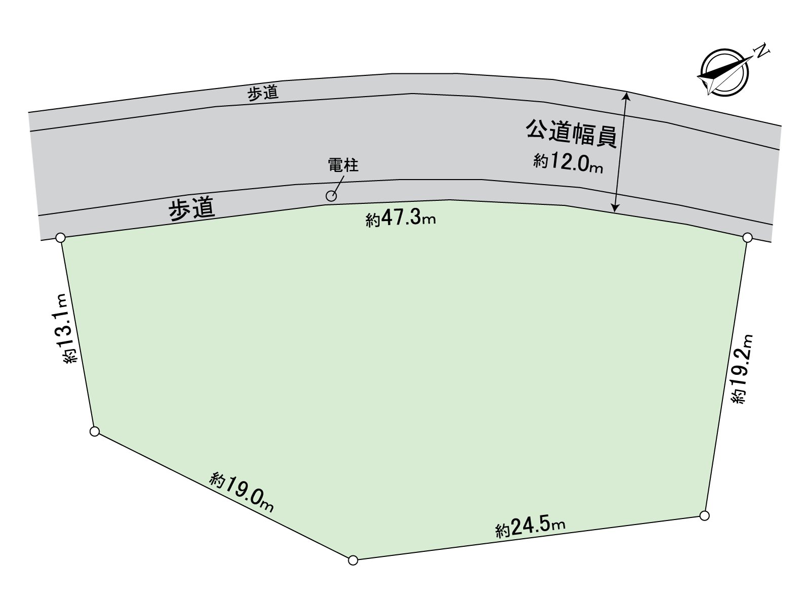 Division figure