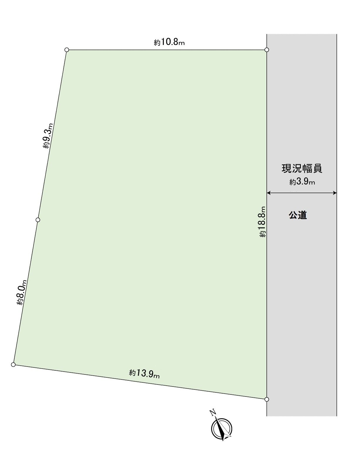 Division figure