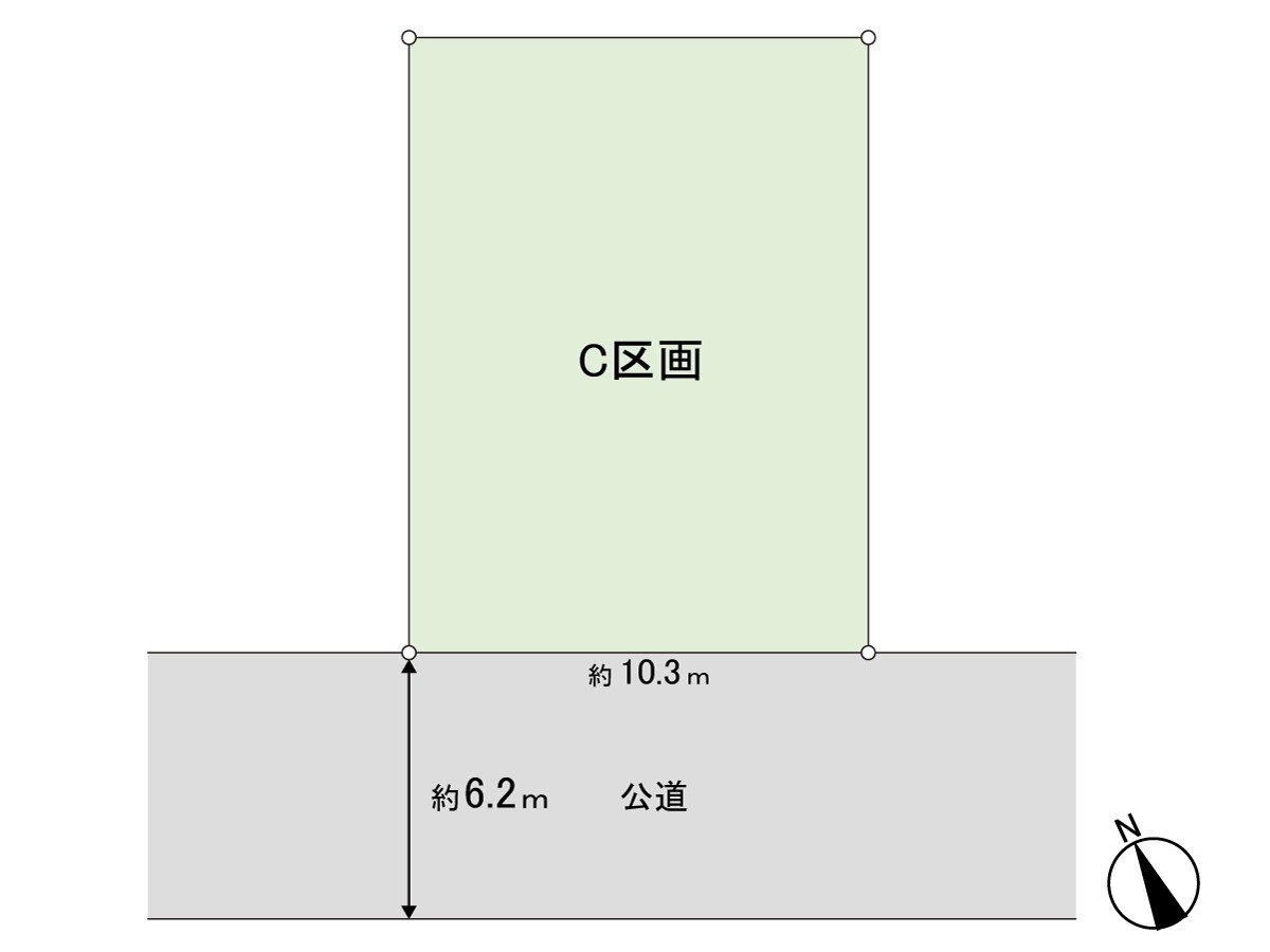 Division figure