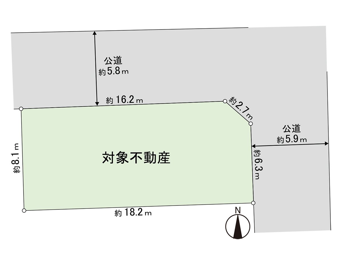 Division figure