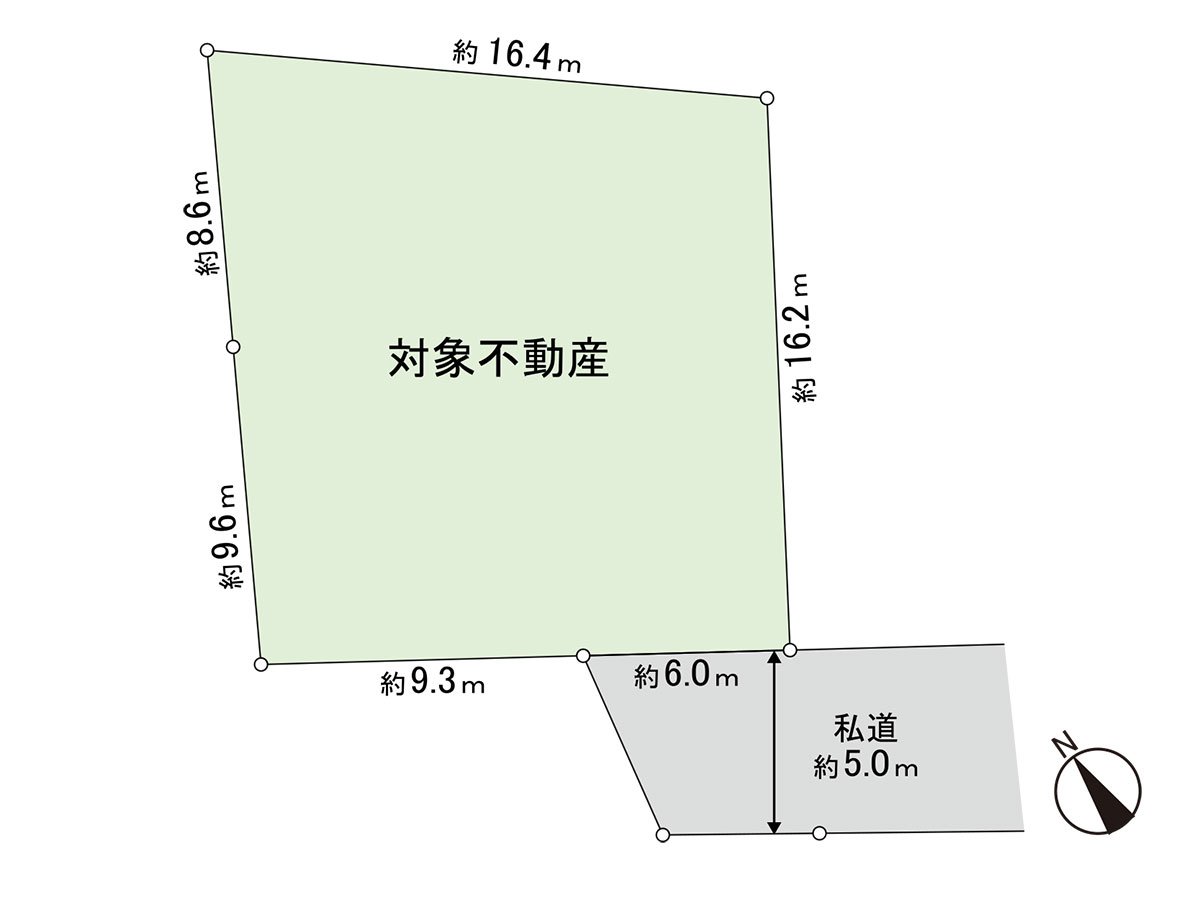 Division figure