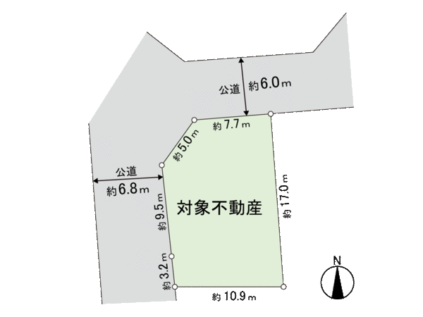 Division figure