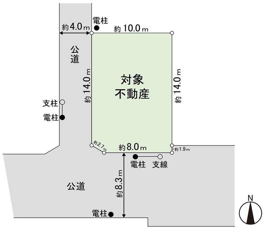 Division figure