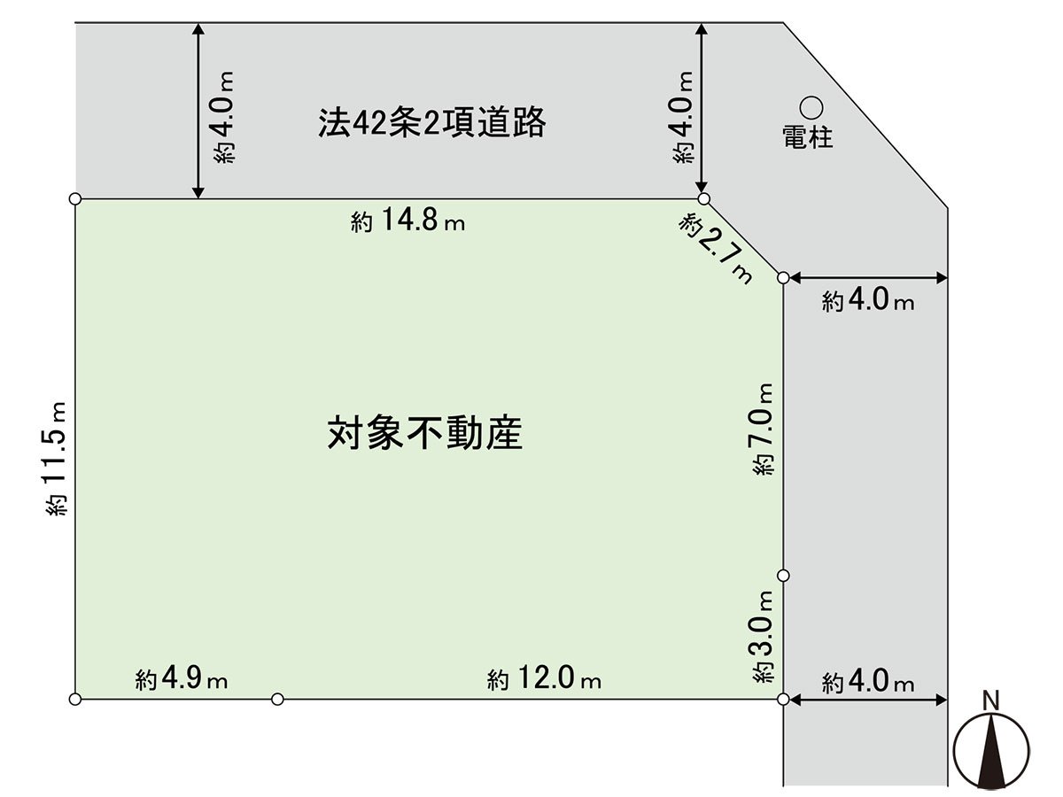 Division figure