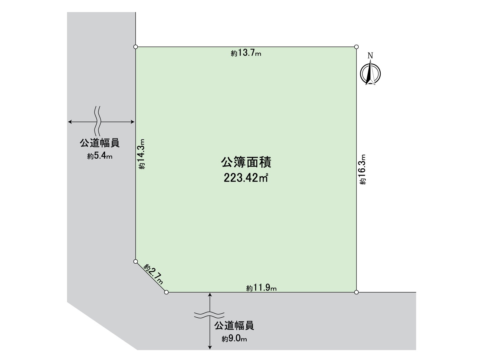 Division figure