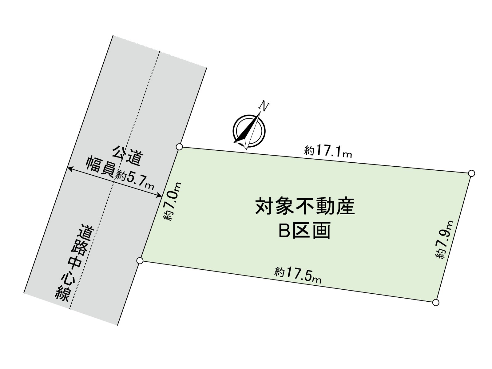 Division figure