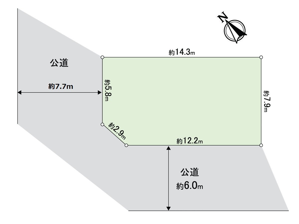 Division figure