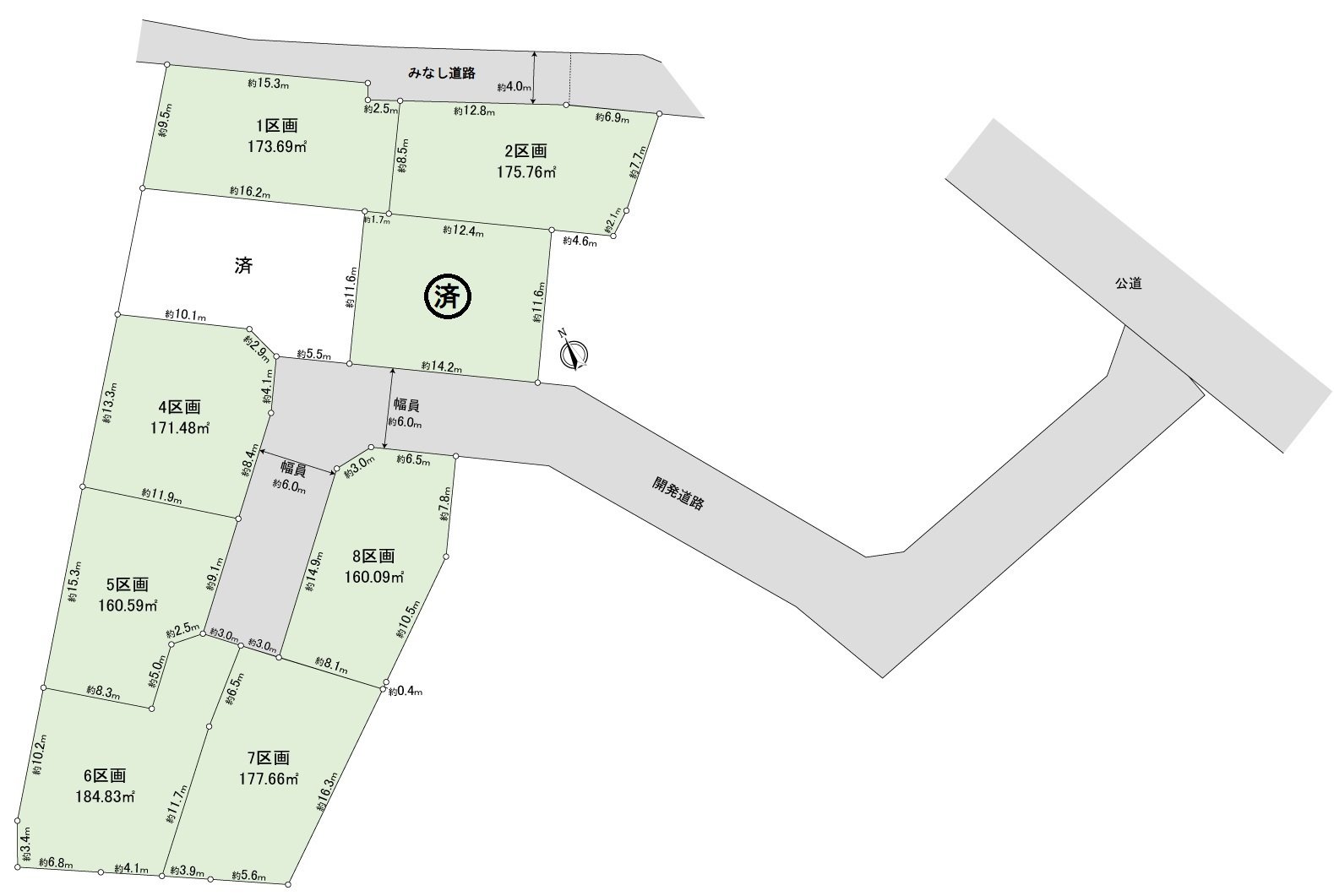 Division figure