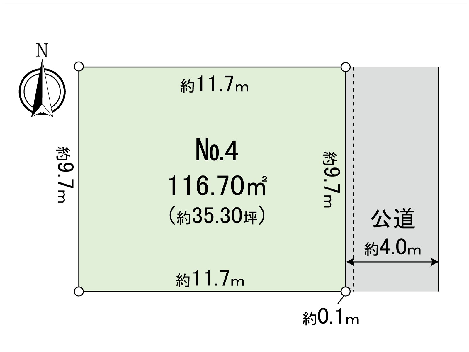 Division figure