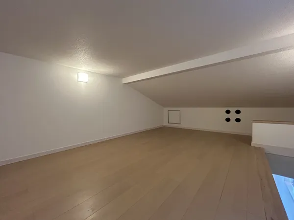 小屋裏収納