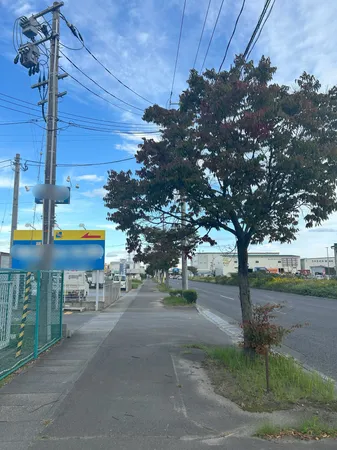 前面道路