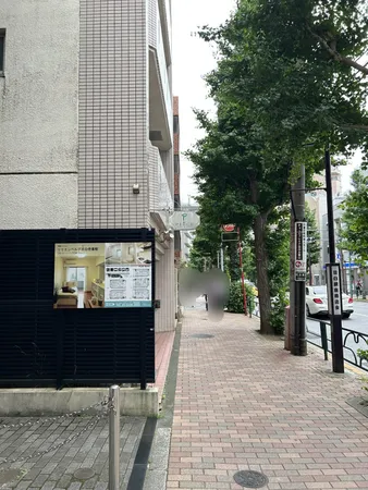 前面道路歩道部分