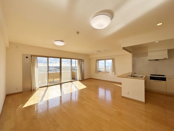 ダイアパレス鶴間2 リビング