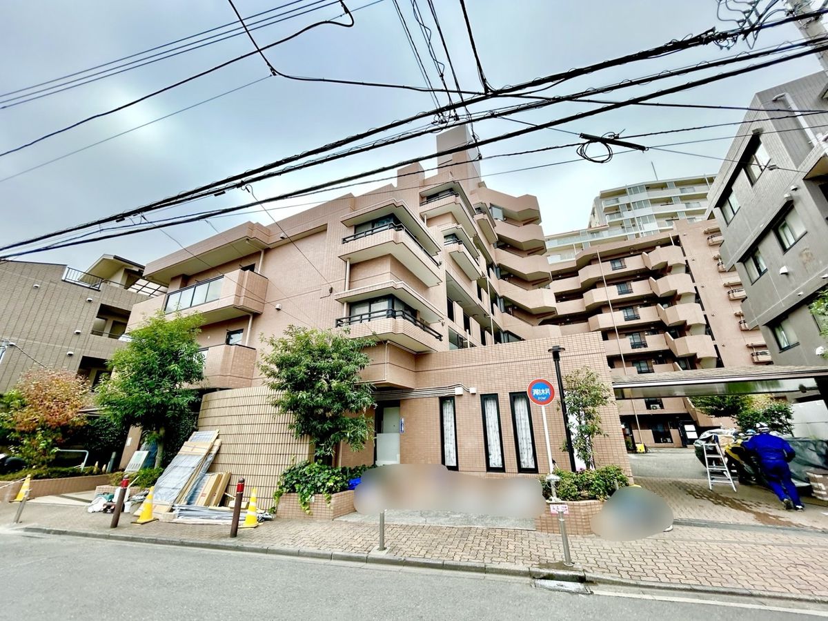 ナイスアーバン小田急相模原Ⅱ 外観 外観