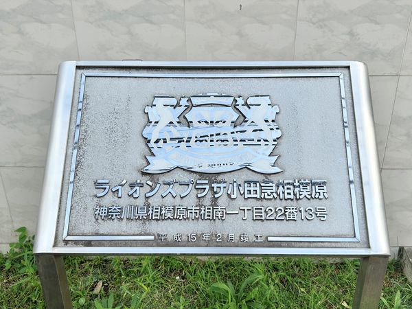 その他現地