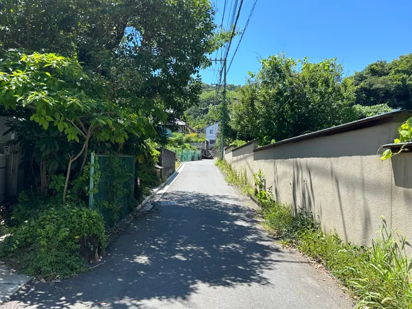 南側前面道路
