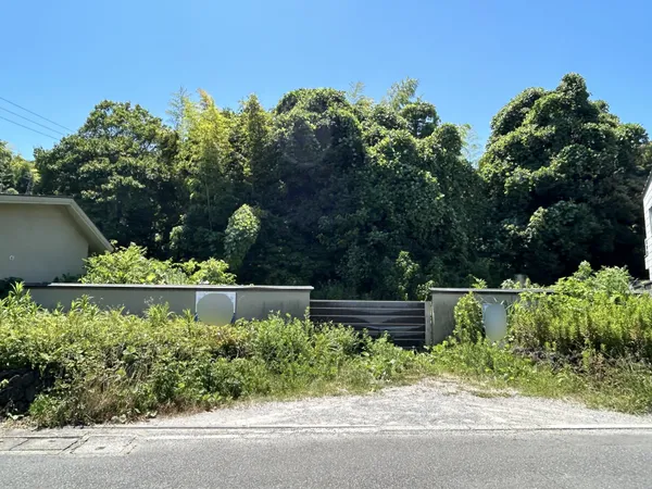 東側土地写真