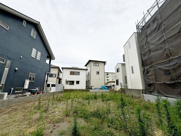 Amazon.co.jp: LL-8175 薩隅両国全図 附日向肥後桜島之図 明治10