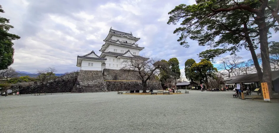 昭和３５年に天守閣が復興し、その後改修が行われ現在の姿となっております。こども遊園地やNINJA館などファミリーでお楽しみいただける観光地です。