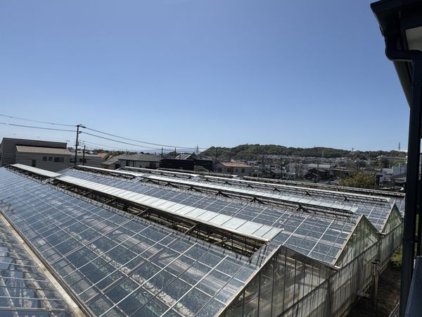 中郡大磯町生沢 新築戸建 庭 中郡大磯町生沢 新築戸建 庭