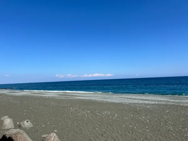 海