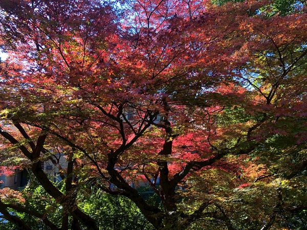 グランヴェール大磯 眺望 グランヴェール大磯 眺望