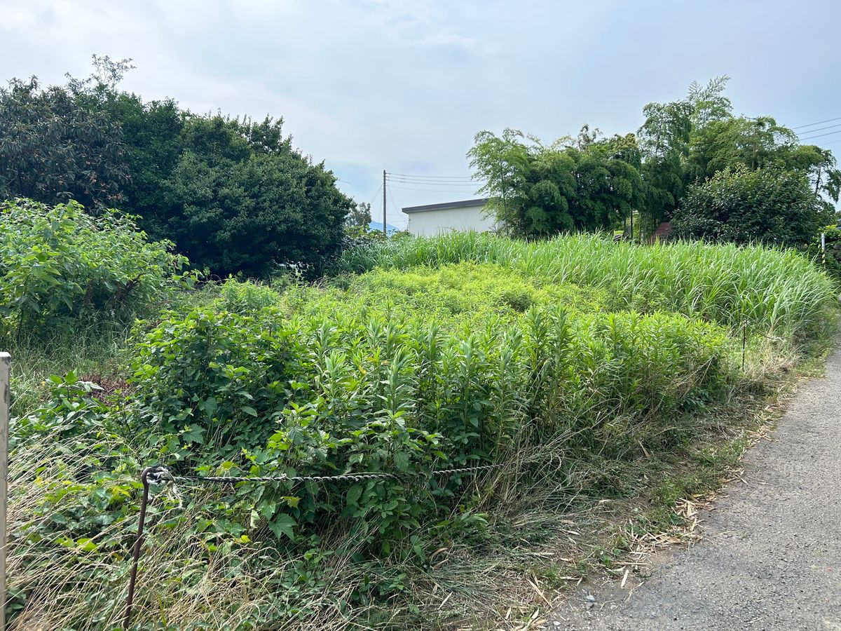 厚木市三田 土地 土地写真 土地写真