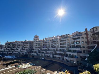 プリシード本厚木 外観