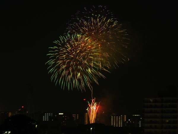 ライオンズガーデン海老名 眺望 ライオンズガーデン海老名 眺望